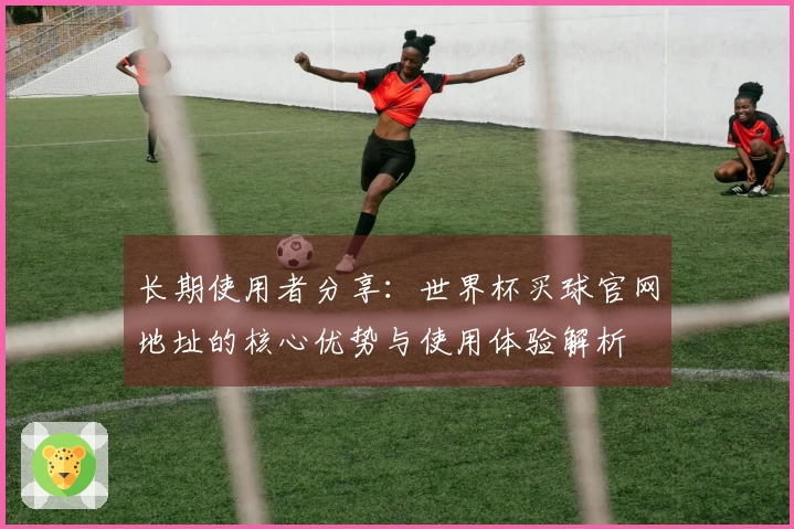 长期使用者分享：世界杯买球官网地址的核心优势与使用体验解析