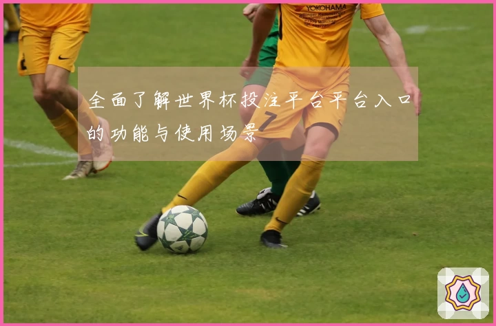 全面了解世界杯投注平台平台入口的功能与使用场景