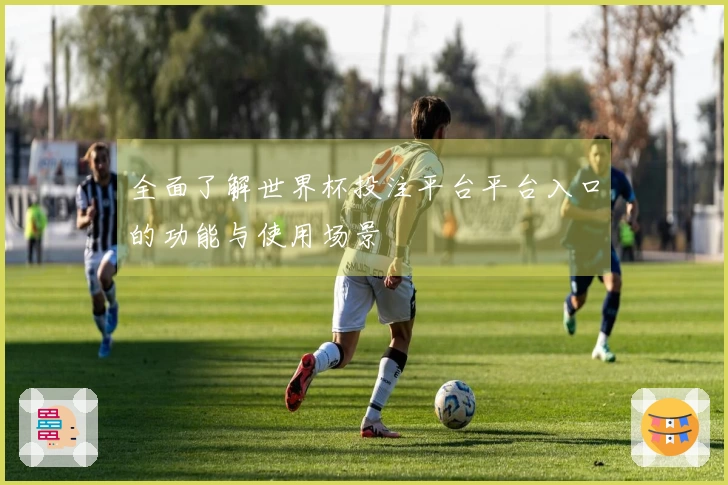 全面了解世界杯投注平台平台入口的功能与使用场景