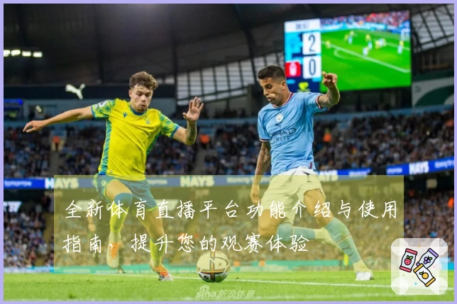 全新体育直播平台功能介绍与使用指南，提升您的观赛体验